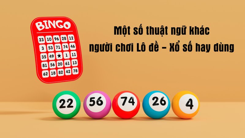 Một số thuật ngữ khác mà người chơi lô đề xổ số Vua88 cần nắm rõ Một số thuật ngữ khác mà người chơi lô đề xổ số Vua88 cần nắm rõ
